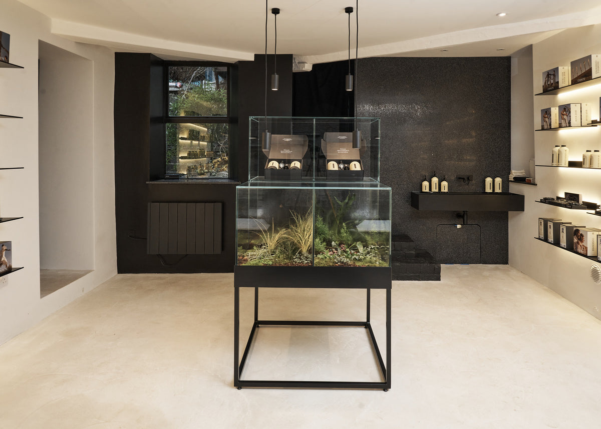 Commune Bruton store install London Terrariums