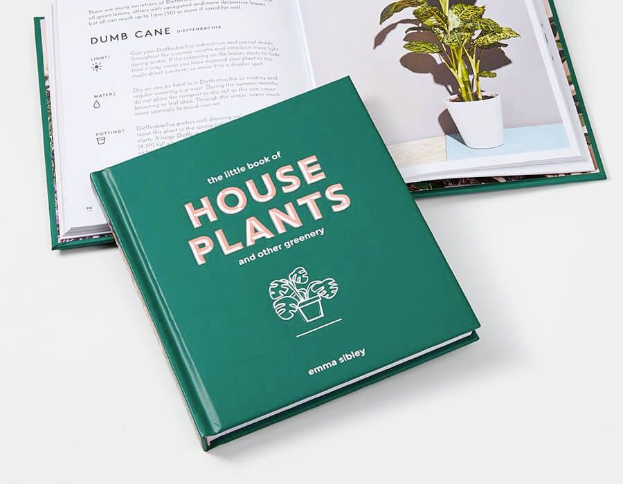 the best 6 books on how to look after your indoor houseplants