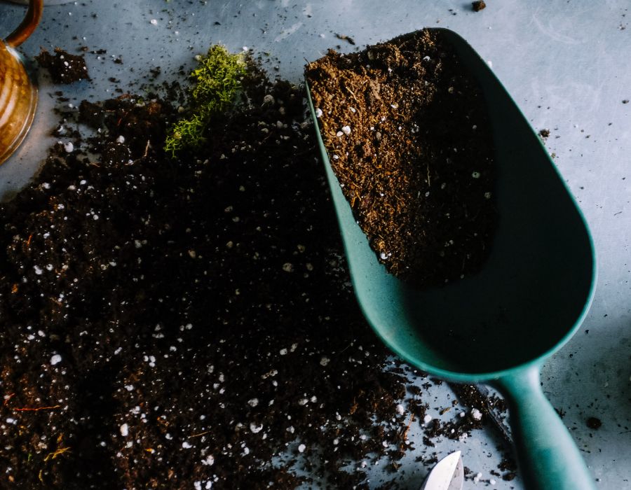 Why We Use Peat-Free Compost, and the Alternatives