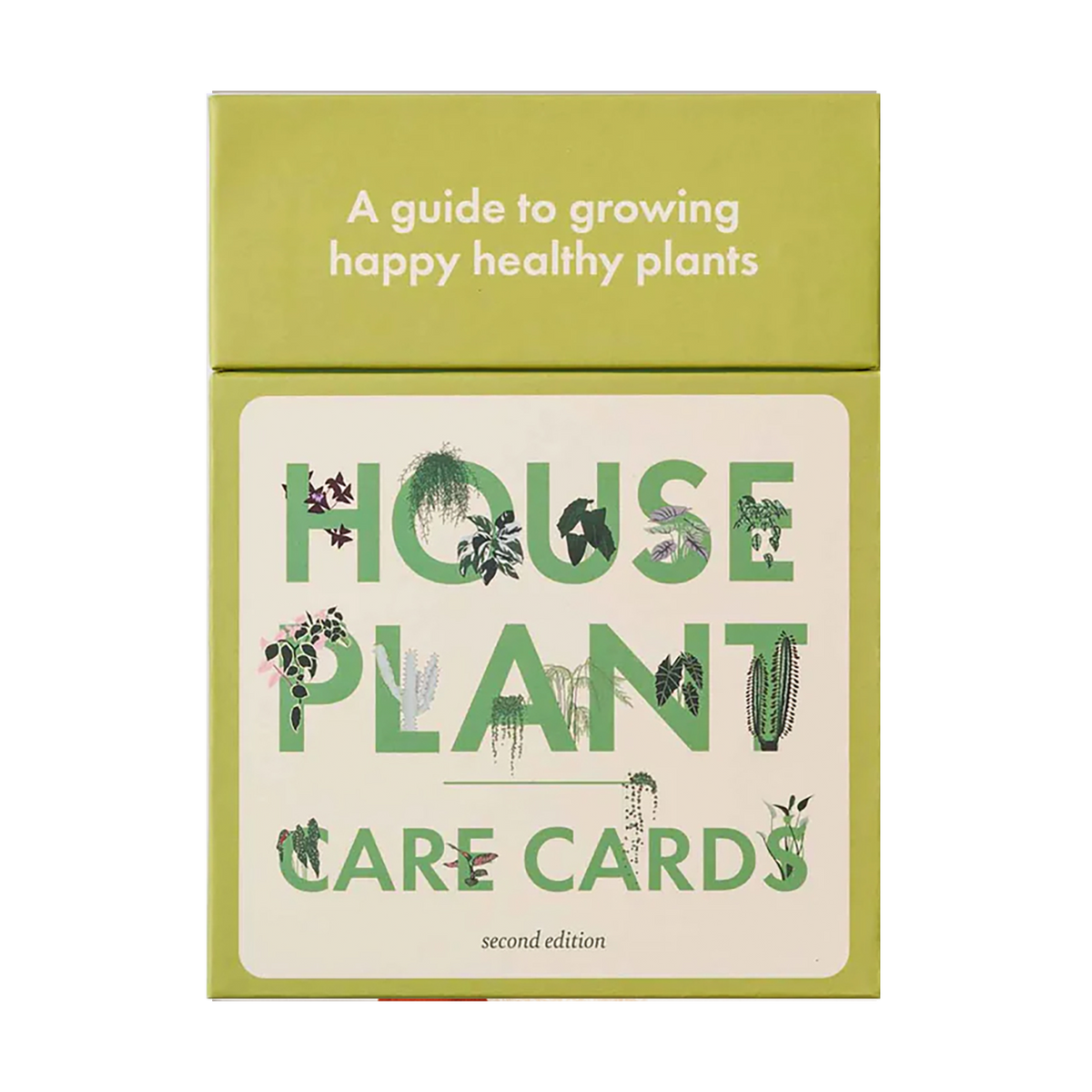 Houseplant Care Cards London Terrariums