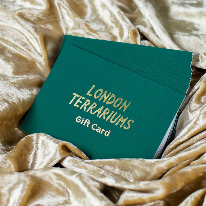 London Terrariums Gift Card