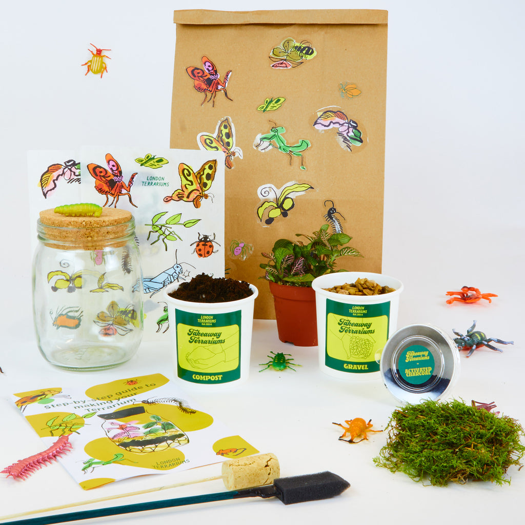 London Terrariums Kit for Children, Mindful gardening gift for Kids