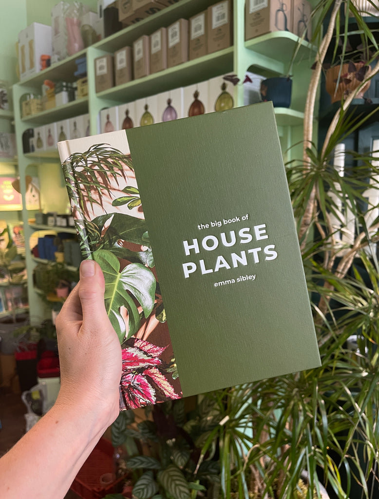 New Book Alert! - The Big Book of Houseplants!