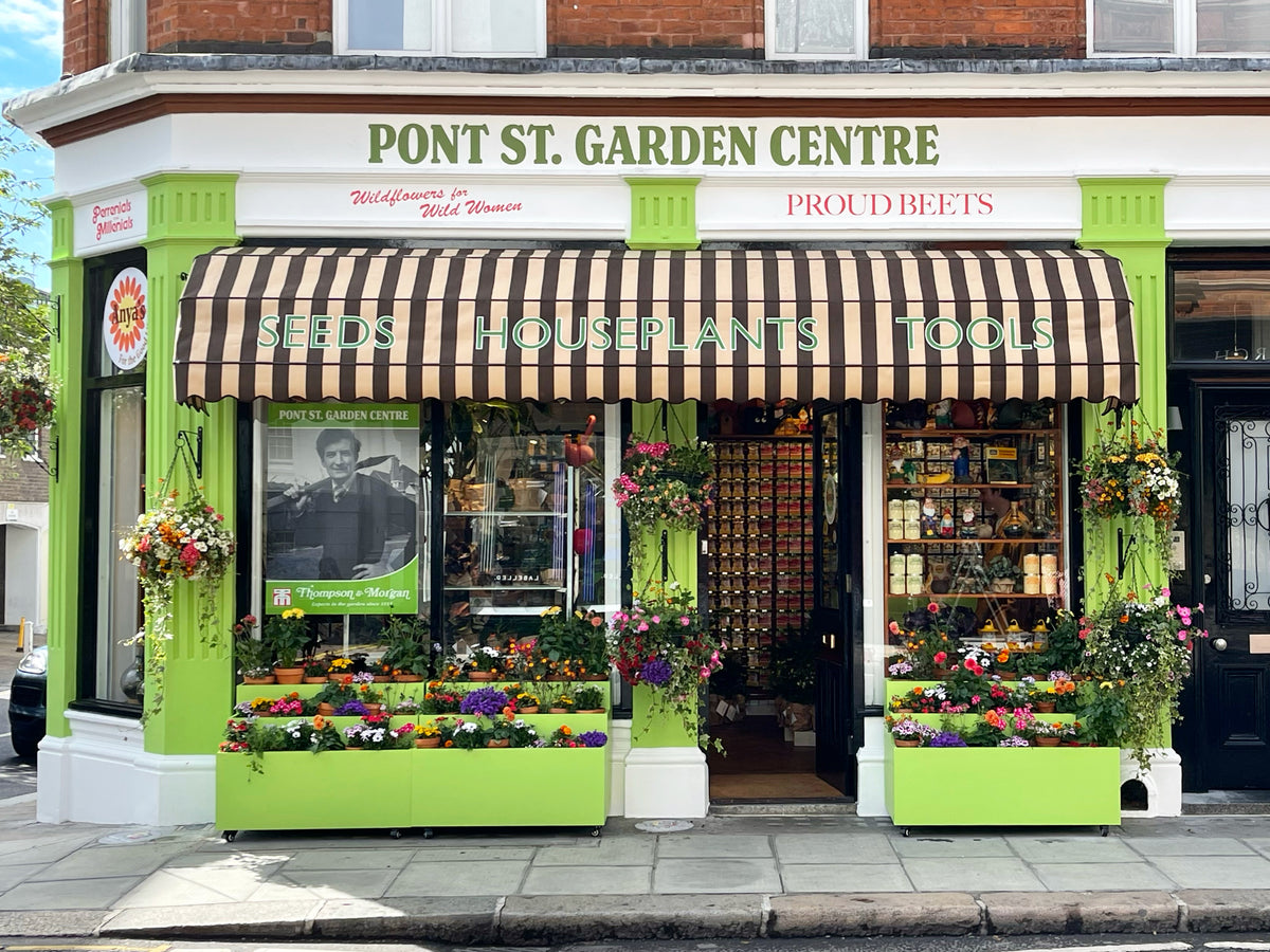 Anya’s Pont St. Garden Centre May 2022 London Terrariums