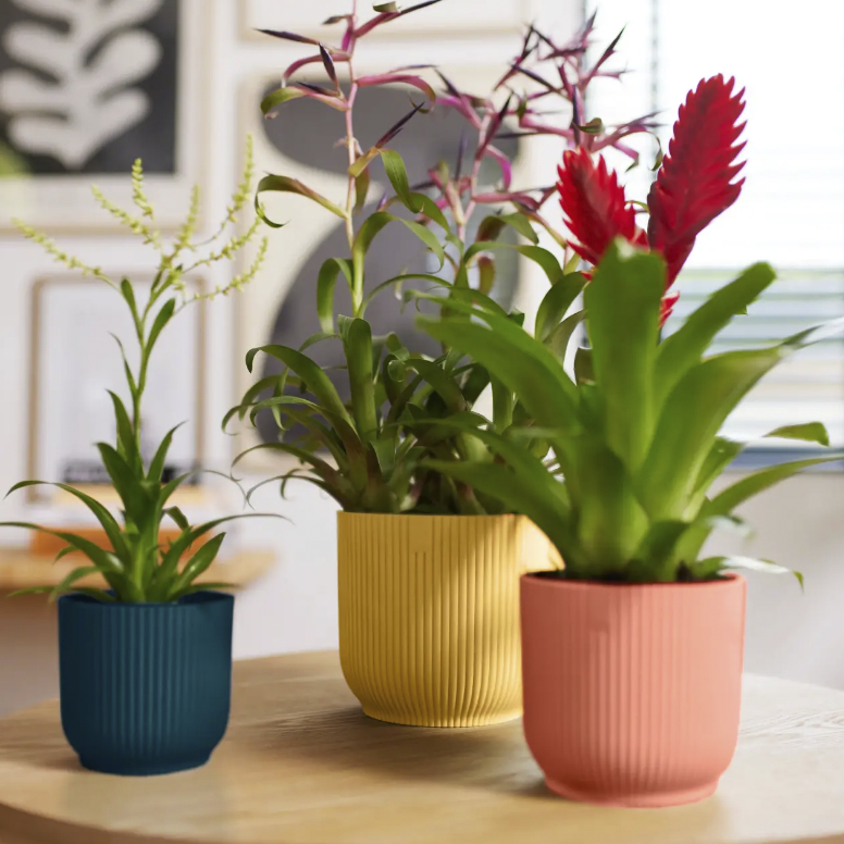 Elho Recycled Plastic Plant Pots London Terrariums