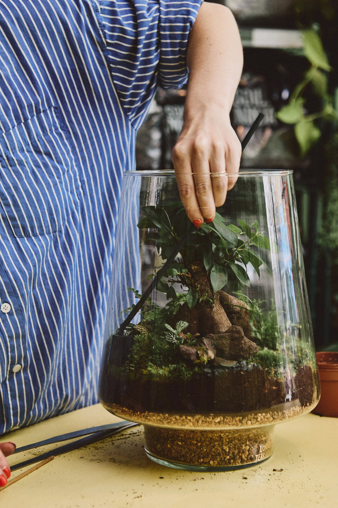 plant terrarium charcoal Activated Charcoal For Terrariums & Houseplants – London Terrariums