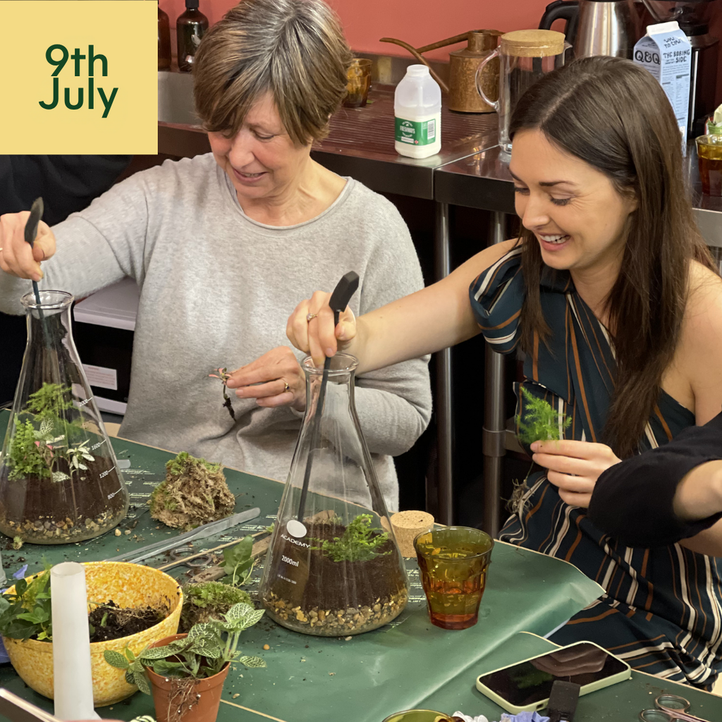 Terrarium Workshops & Events – London Terrariums