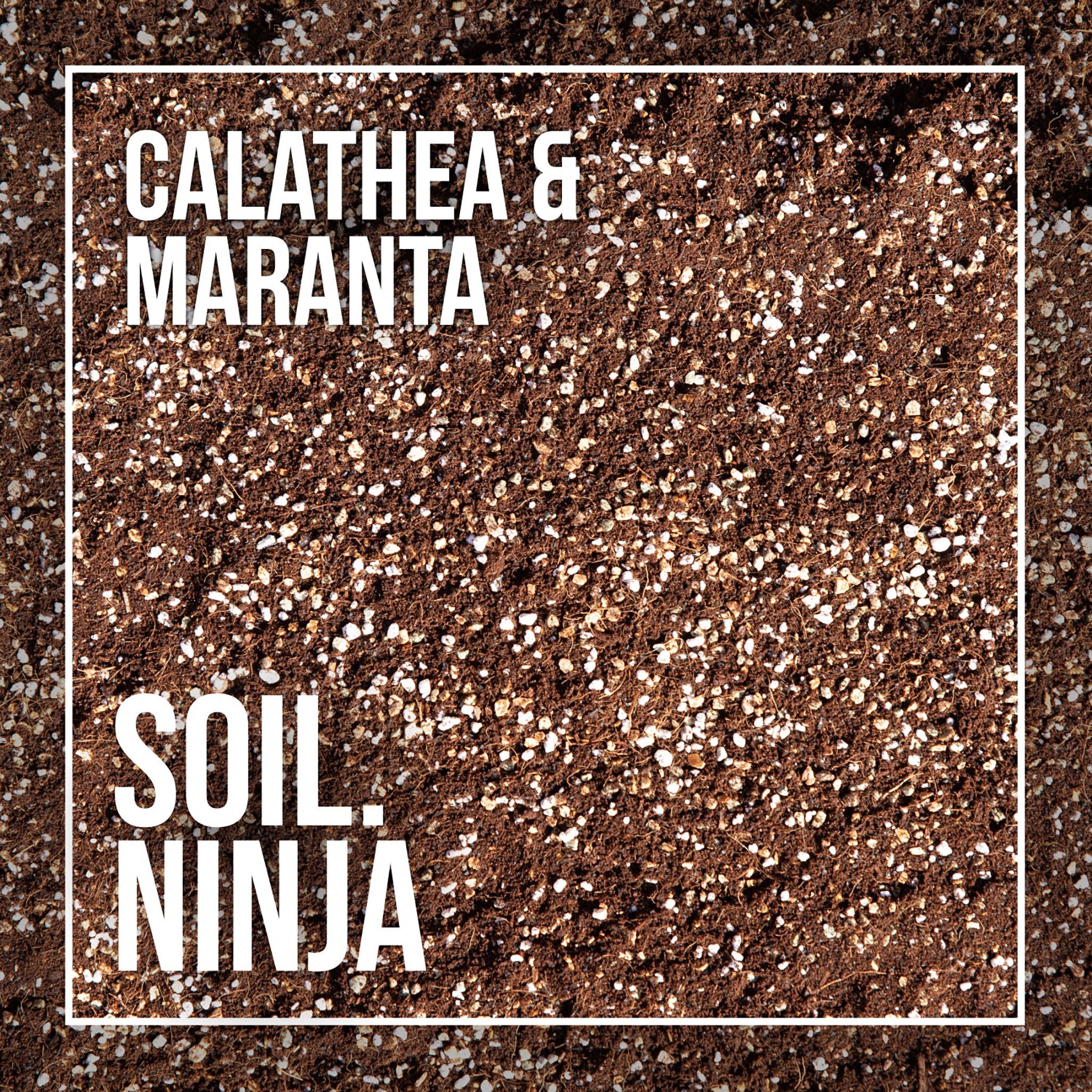 Premium Soil Mix for Terrarium - Soil.Ninja 2.5l & 5l