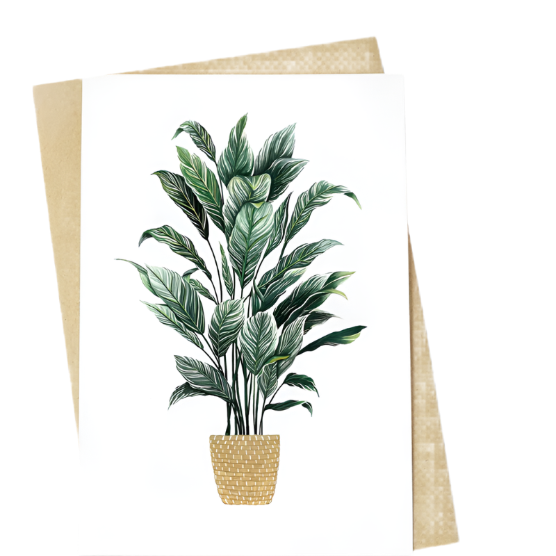 peace lily watercolor Peace Lily Painting Card – London Terrariums