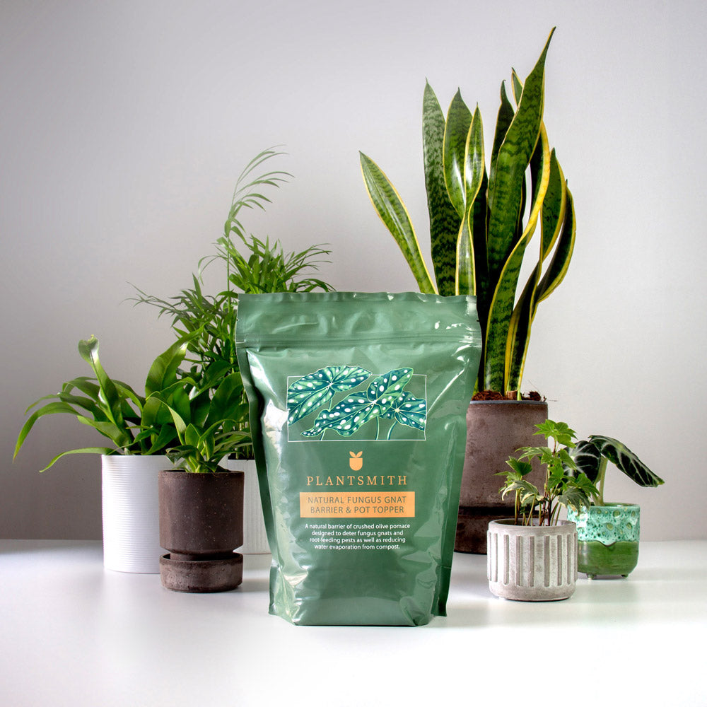 gnat barrier for indoor plants Natural Fungus Gnat Barrier & Pot Topper – London Terrariums