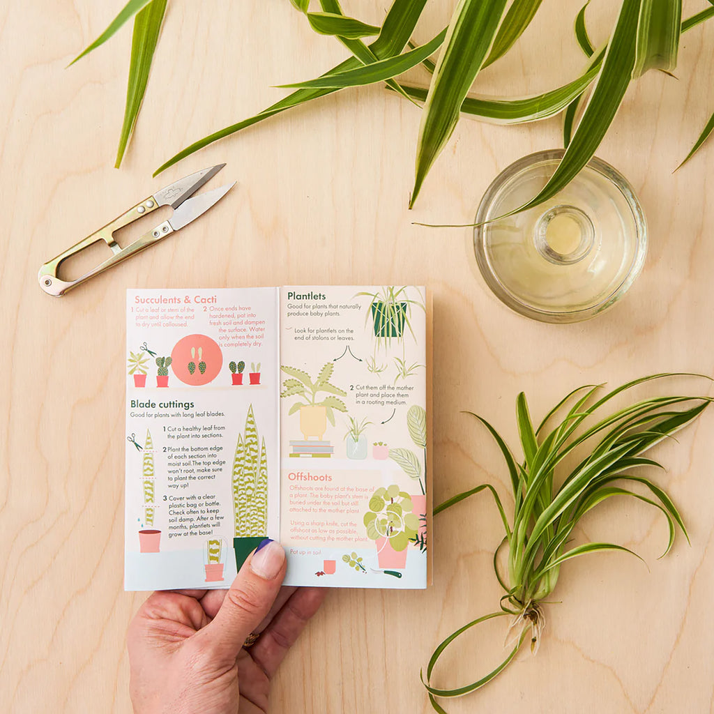 Contoh Pocket Guide Pocket Propagation Guide – London Terrariums