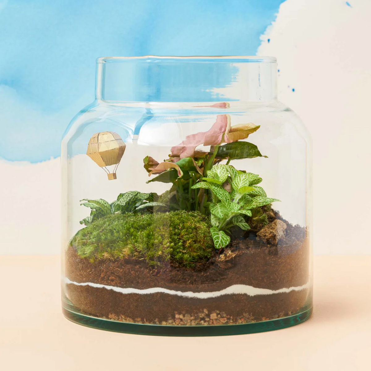 Brass Mini Model Balloon – London Terrariums