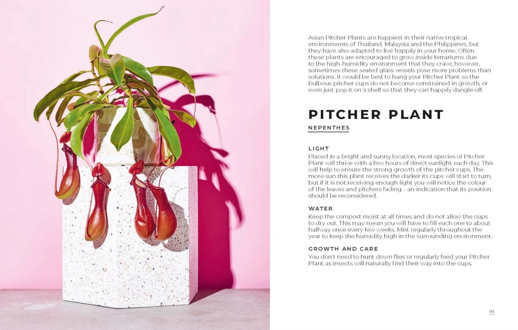 the big book of house plants The Big Book of Houseplants – London Terrariums