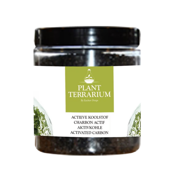 activated charcoal for succulents Activated Charcoal For Terrariums & Houseplants – London Terrariums