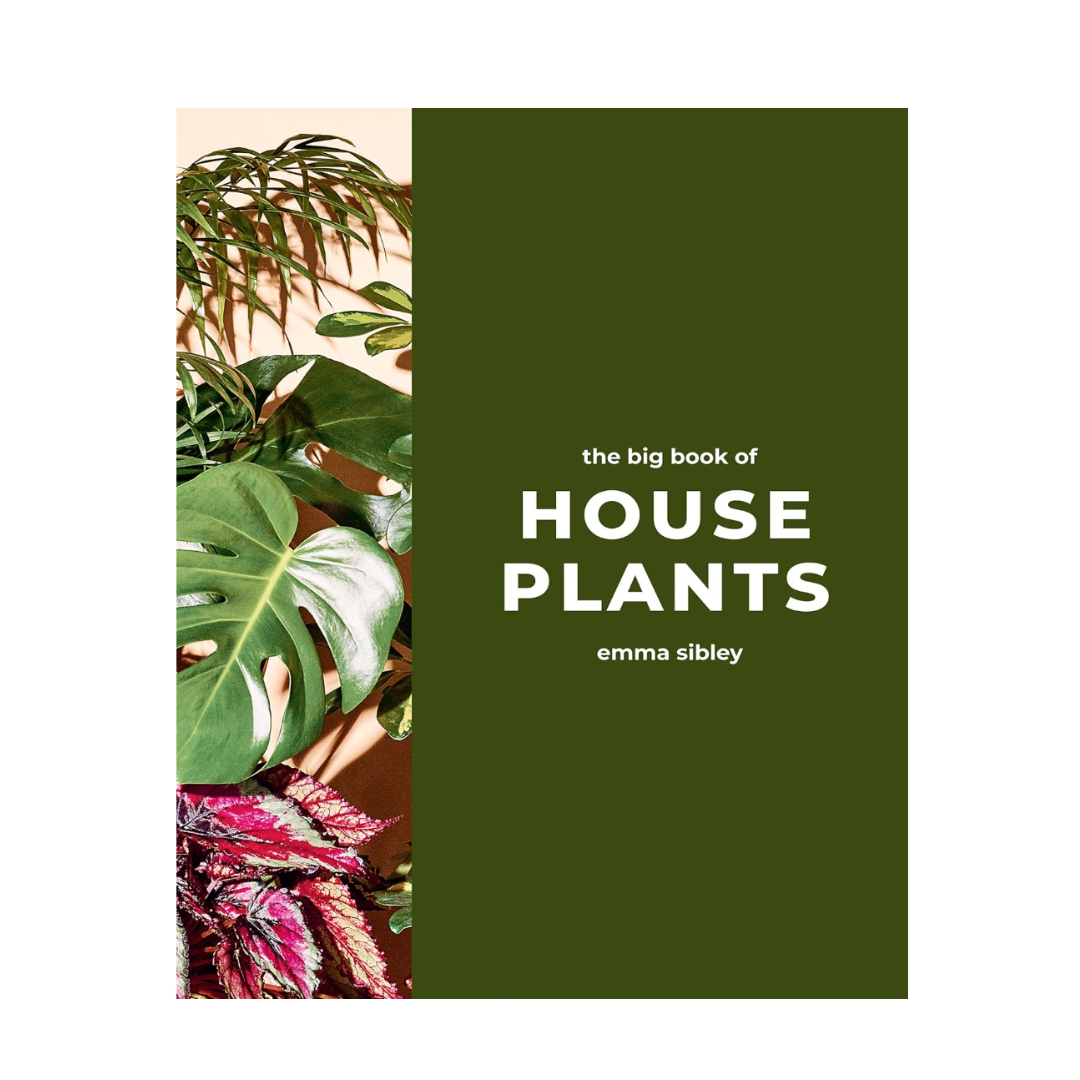 book house plants The Big Book of Houseplants – London Terrariums