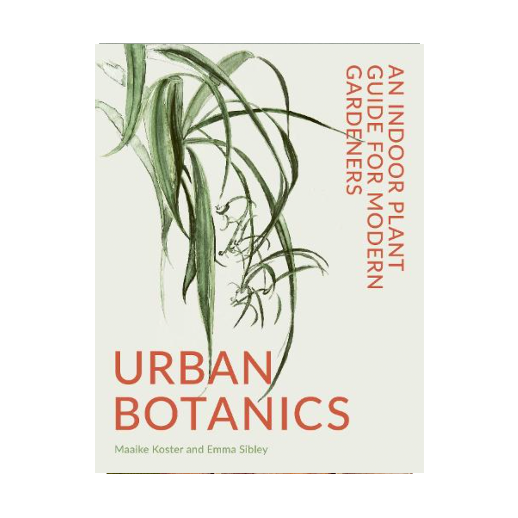 urban botanics an indoor plant guide for modern gardeners Urban Botanics – London Terrariums