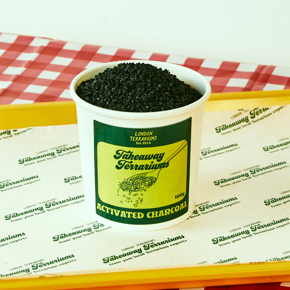 Activated Charcoal for Terrariums and Plants
